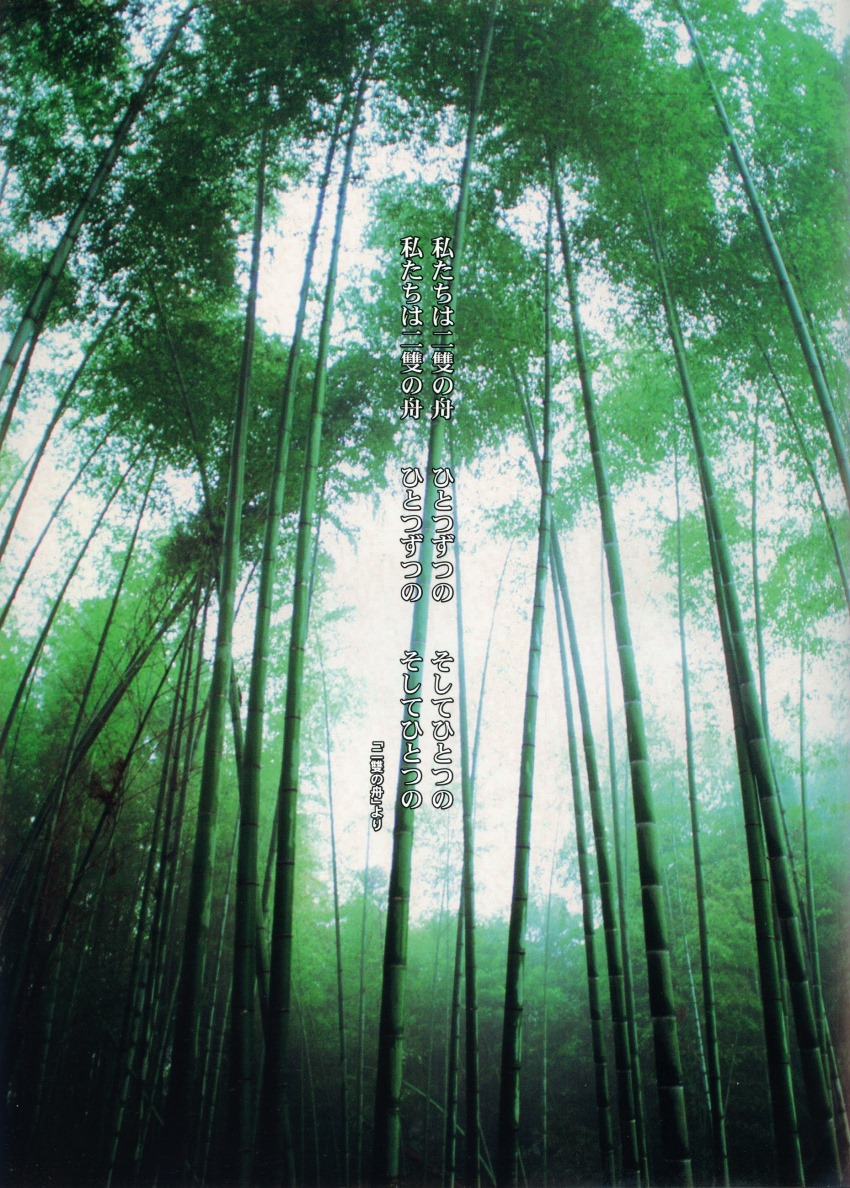 [夜会] VOL.17 2011 2／2